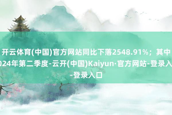 开云体育(中国)官方网站同比下落2548.91%；其中2024年第二季度-云开(中国)Kaiyun·官方网站-登录入口