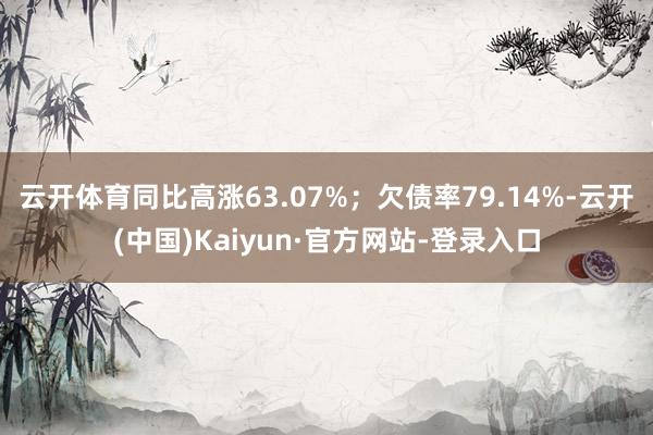 云开体育同比高涨63.07%；欠债率79.14%-云开(中国)Kaiyun·官方网站-登录入口