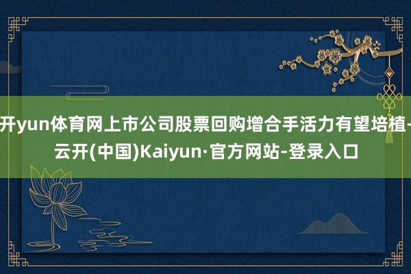 开yun体育网上市公司股票回购增合手活力有望培植-云开(中国)Kaiyun·官方网站-登录入口