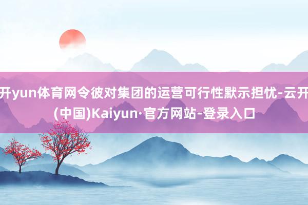 开yun体育网令彼对集团的运营可行性默示担忧-云开(中国)Kaiyun·官方网站-登录入口