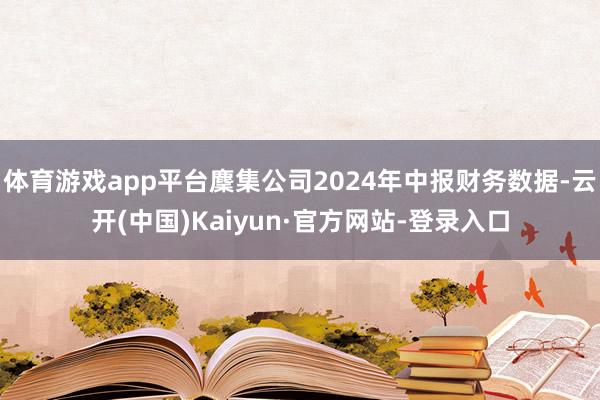 体育游戏app平台麇集公司2024年中报财务数据-云开(中国)Kaiyun·官方网站-登录入口